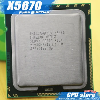 Intel Xeon X5670 CPU /processador de 2,93 GHz /LGA1366/12MB de Cache L3/Six Core/ CPU do servidor Frete Grátis scrattered peça