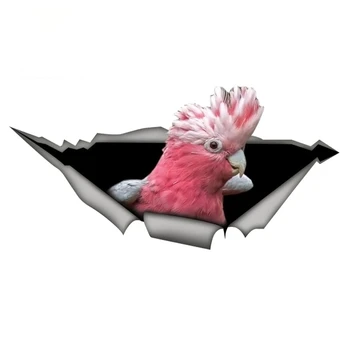 Bonito-De-Rosa Galah Cacatua Adesivos De Carros Papagaio Engraçado Decalque Impermeável Estilo Carro De Aves Adesivos De Decoração Para Computador Portátil Decalque